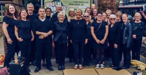 Voice to Voice Choir group
